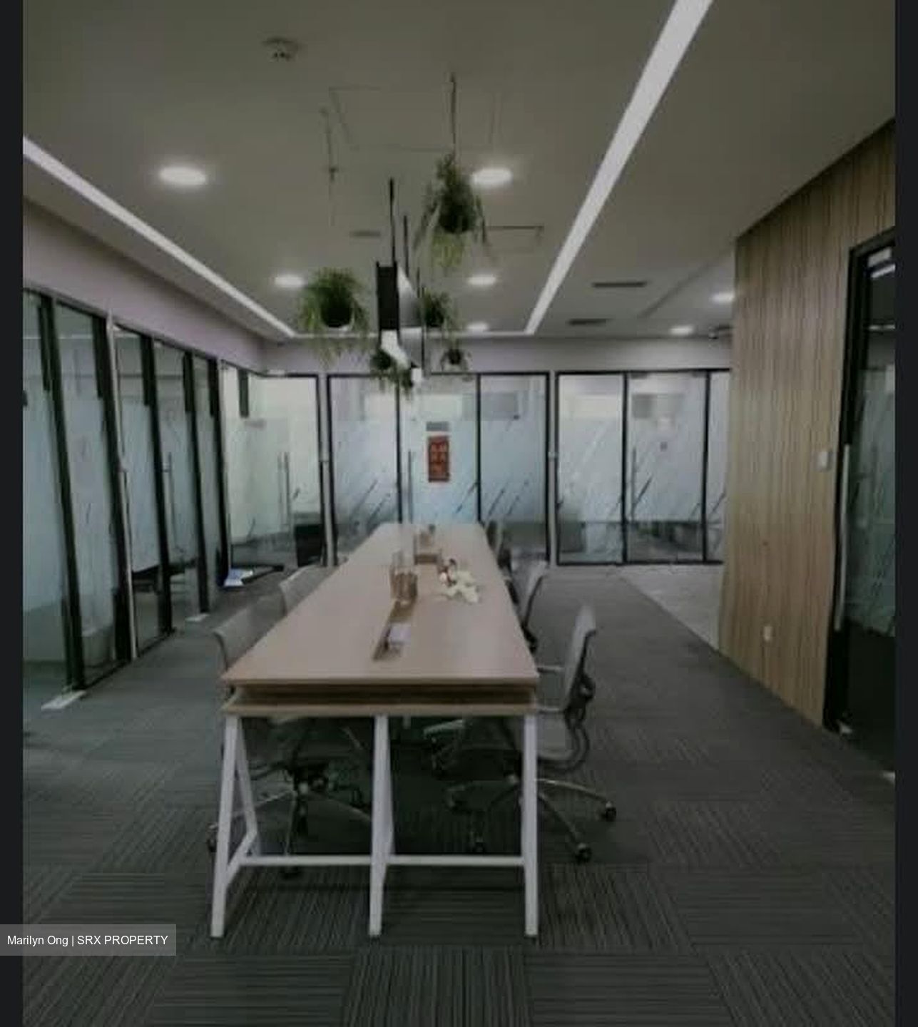International Plaza (D2), Office #550309801